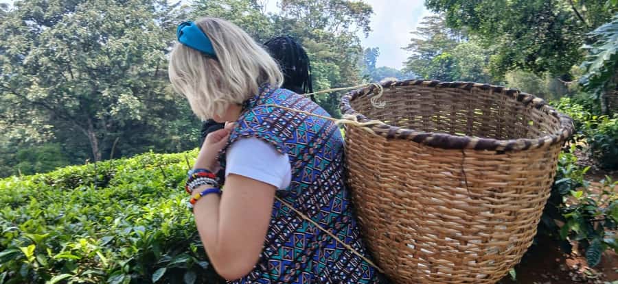 Kaimbethu tea farm tour and lunch package - A long, generous lunch at the farm