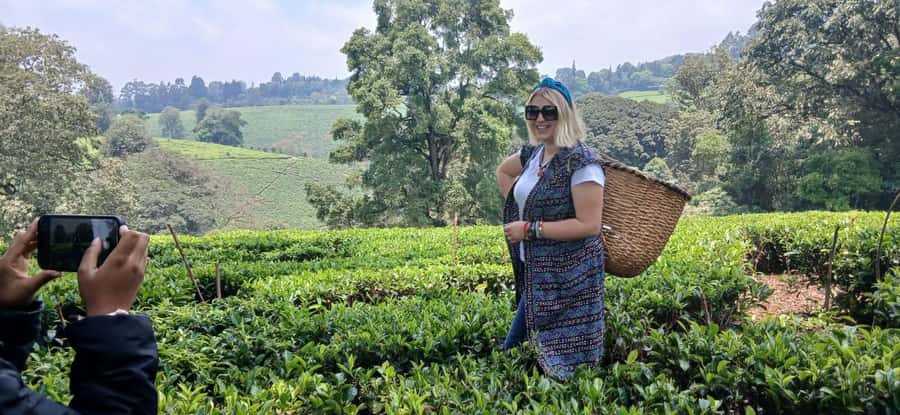 Kaimbethu tea farm tour and lunch package - How the price works, and what to confirm
