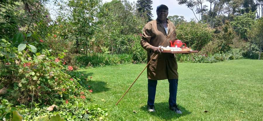 Kaimbethu tea farm tour and lunch package - Who will enjoy this six-hour escape