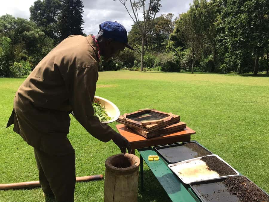 Kaimbethu tea farm tour and lunch package - Tea, biscuits, and the story of Kiambethu