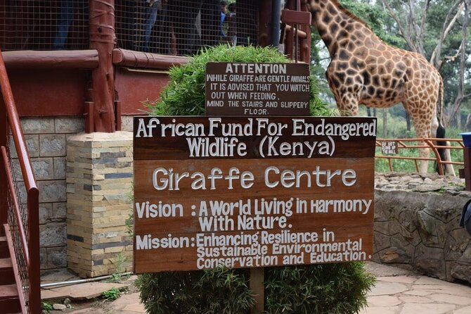 Karen Blixen Museum & Giraffe Centre Half day tour - The value of hotel pickup and private transport