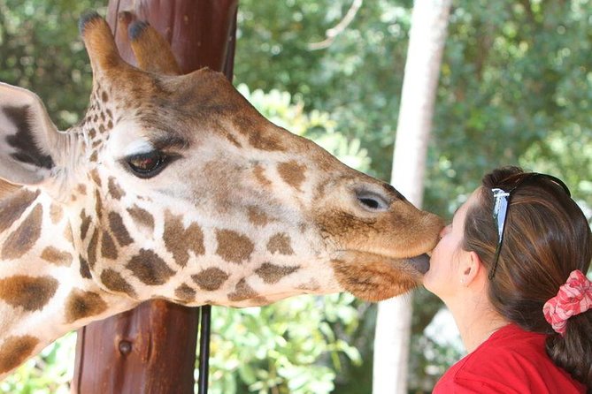 Karen Blixen Museum & Giraffe Centre Half day tour - Guides can make the difference