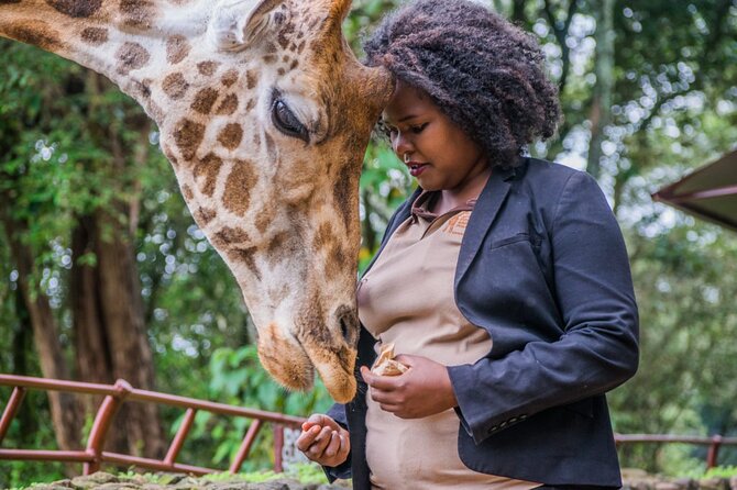 Karen Blixen Museum & Giraffe Centre Half day tour - Practical details to keep in mind