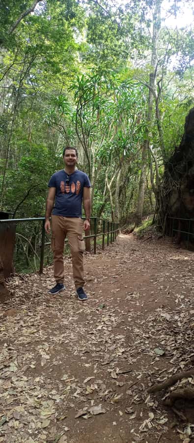 Karura forest: A walking tour into Nairobi's Nature Oasis - A forest escape in the middle of Nairobi