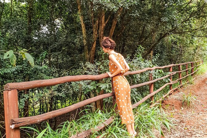 Karura Forest Hiking and Bike Tour - Key points to know before you go