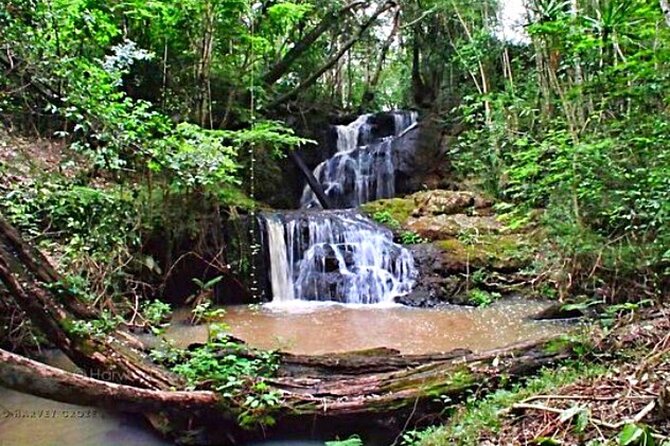Karura Forest Hiking and Bike Tour - Waterfalls, streams, and the riparian area