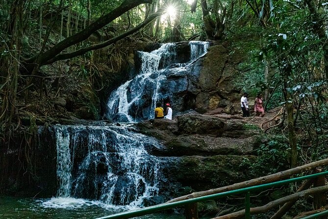 Karura Forest Hiking and Bike Tour - Choosing between a 12-kilometer bike ride and walking trails