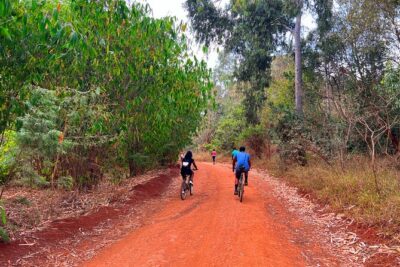 Karura Forest Nature Trail