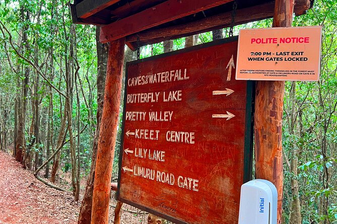 Karura Forest Nature Trail - Walking, jogging, or hiring a bicycle