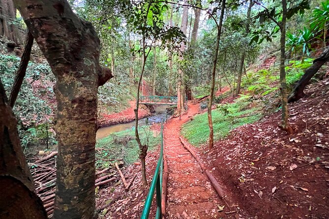 Karura Forest Nature Trail - What the $90 price includes