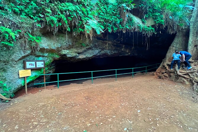 Karura Forest Nature Trail - Who should book this forest trail
