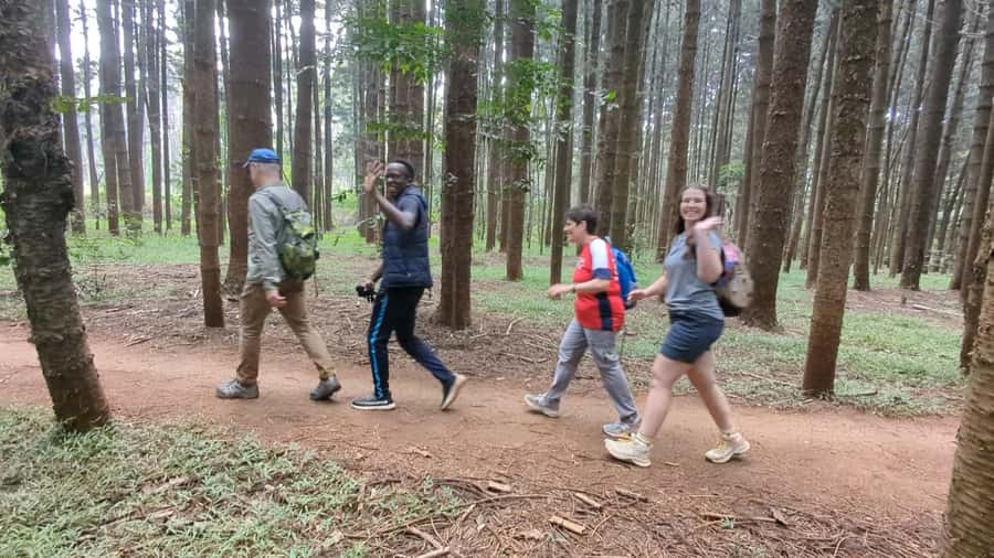 Karura Forest: Walking tour with Nature and Waterfalls. - What makes this Karura Forest walk worth considering