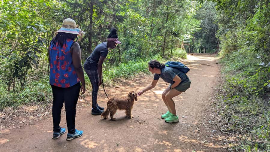 Karura Forest: Walking tour with Nature and Waterfalls. - Entering Karura Forest at Gate C