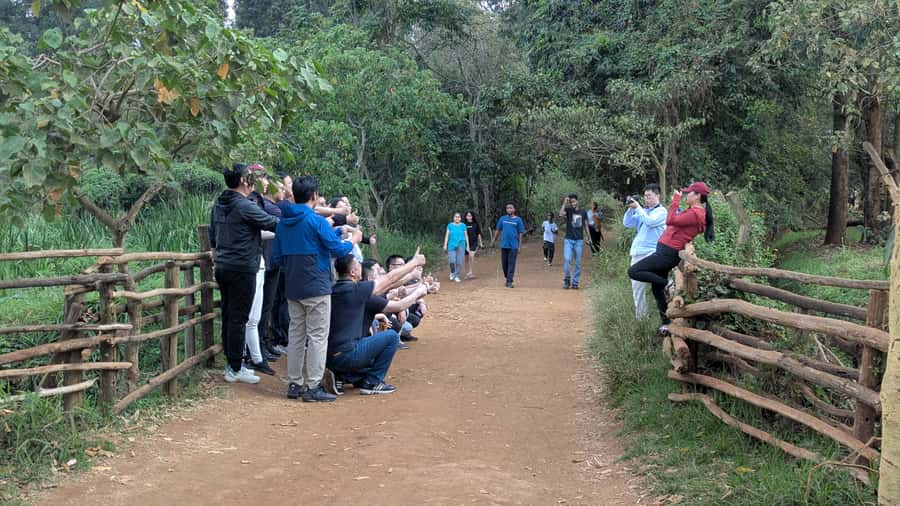 Karura Forest: Walking tour with Nature and Waterfalls. - What the $40 price really includes