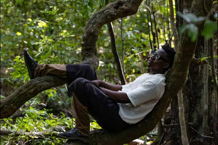 Kaya Kinondo Sacred Forest Guided Tour - The 09:30 pickup from Diani hotels