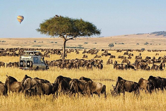 Keekorok Lodge 3 Days, 2 Nights Maasai Mara Offer - Balloon safari for $400