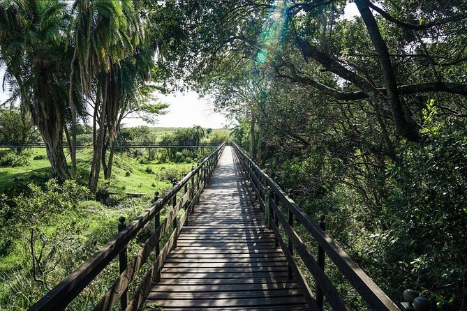 Keekorok Lodge 3 Days, 2 Nights Maasai Mara Offer - The Mara River and the migration route