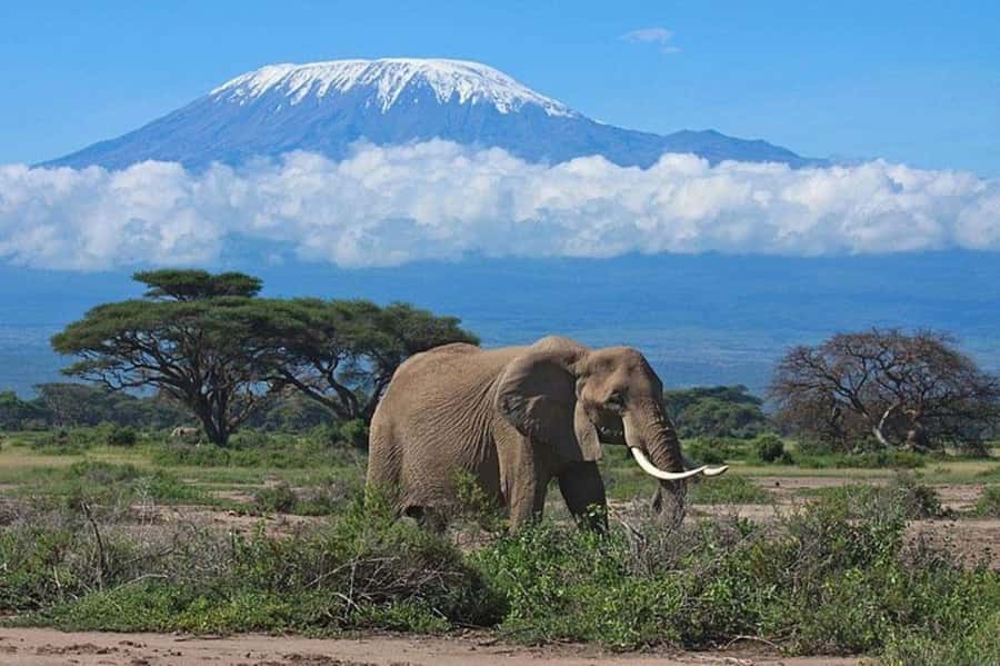 Kenya: 7-Day Big 5 Safari Tour from Nairobi - Why this seven-day Kenya route works