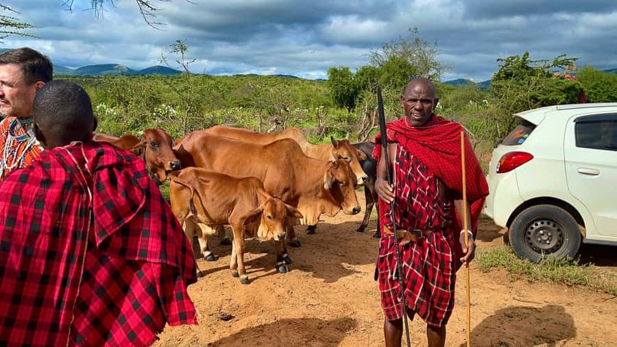Kenya: Maasai Village Visit with Traditional Dance Show - Who should book this experience