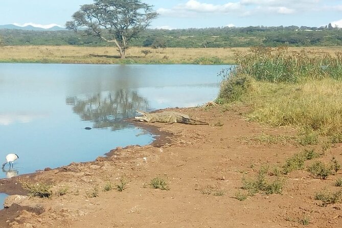 Kenya safari - Day 1: Nairobi arrival and a possible city outing