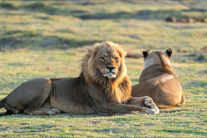 Kenya safari - Day 3: Lake Naivasha and the active side of safari