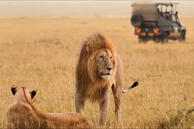 Kenya safari - Day 6: Hot-air ballooning and a Maasai cultural option