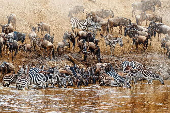 Kenya safari - Day 7: Returning to Nairobi and catching your flight