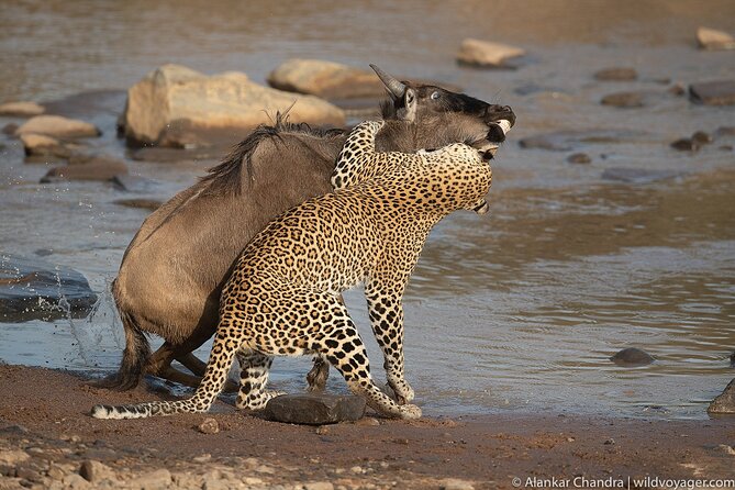 Kenya Safari: Amboseli, Lake Naivasha & Masai Mara - Day 4: A private boat ride, then the road to Masai Mara