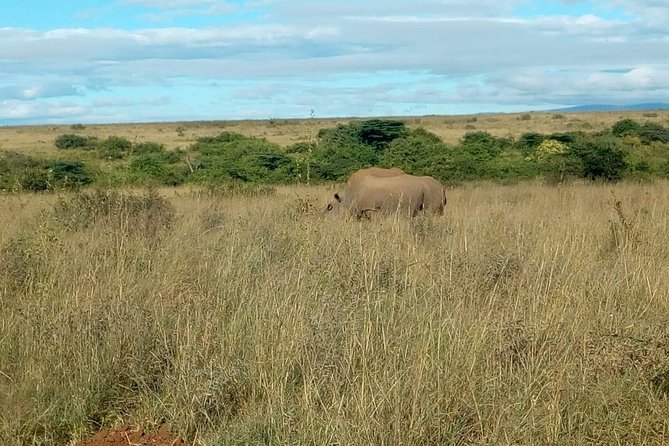 Kenya safari - Days 2 and 3: Lake Nakuru’s rhinos, flamingos, and birds