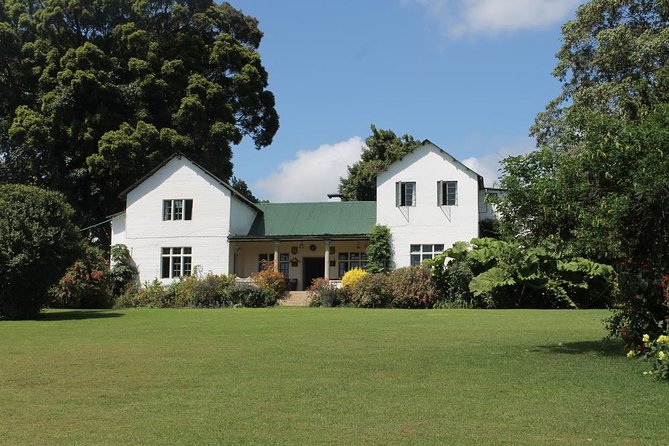 Kiambethu Tea Farm Tour & Lunch From Nairobi - Why Kiambethu feels different from a basic tea stop