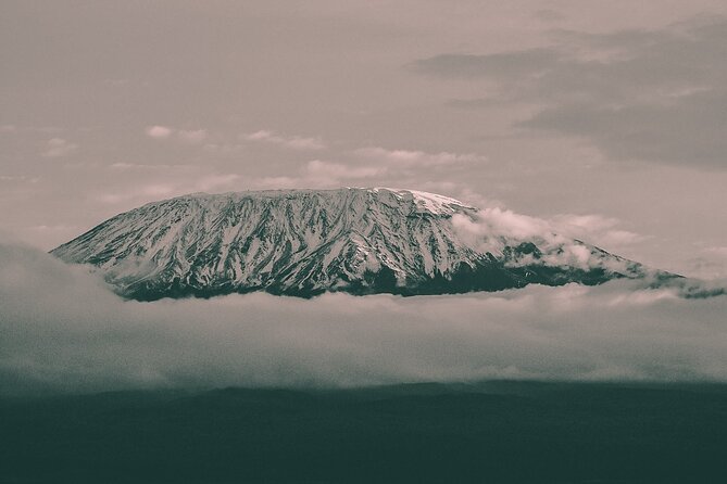 Kilimanjaro Wanderlust Day Hike - Key points to know before booking