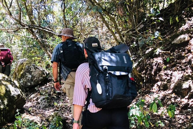 Kilimanjaro Wanderlust Day Hike - What Brian brings to the walk