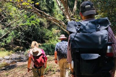 Kilimanjaro Wanderlust Day Hike