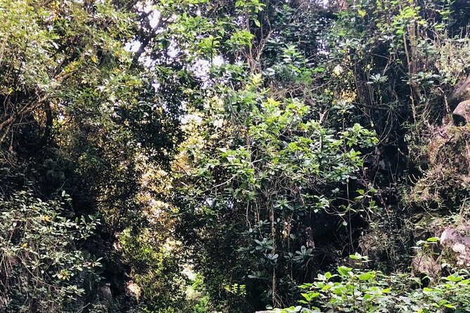 Kilimanjaro Wanderlust Day Hike - Who will enjoy this most?