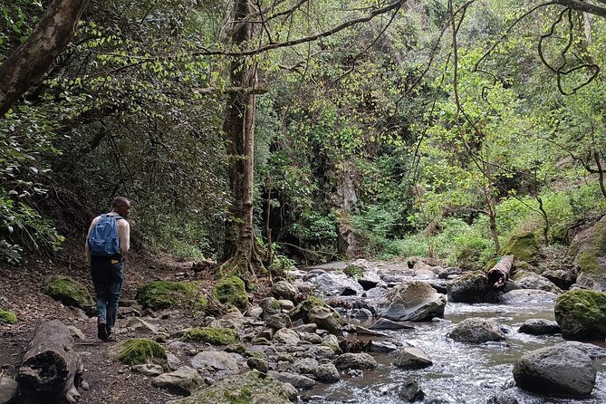 Kilimanjaro Wanderlust Day Hike - What to bring and what to clarify