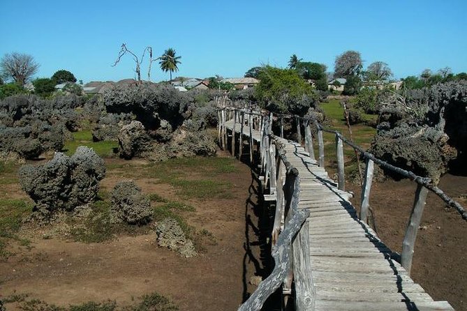 Kisite Marine Park Private Boat Snorkeling with breakfast & Lunch - From Malindi to Shimoni by road
