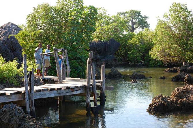Kisite Marine Park Private Boat Snorkeling with breakfast & Lunch - The Shimoni Slave Caves