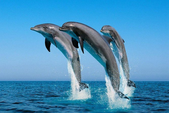 Kisite Marine Park Private Boat Snorkeling with breakfast & Lunch - Who should book this day out