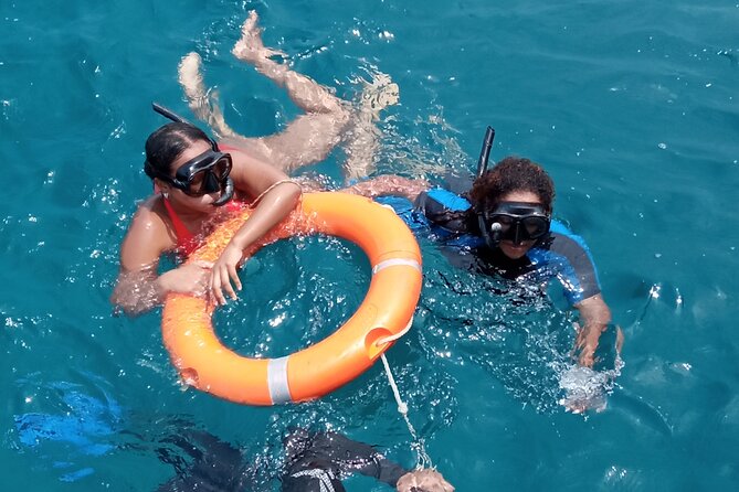 Kisite Mpunguti Day Trip. A day of Oceanic Wonders - Should you book the Kisite Mpunguti day trip?