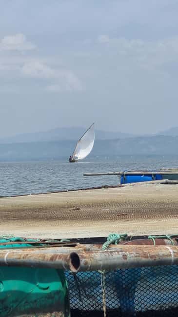 Kisumu Lake Victoria Boat Ride and Hippo Hunt - Looking for Hippos Without a Guarantee