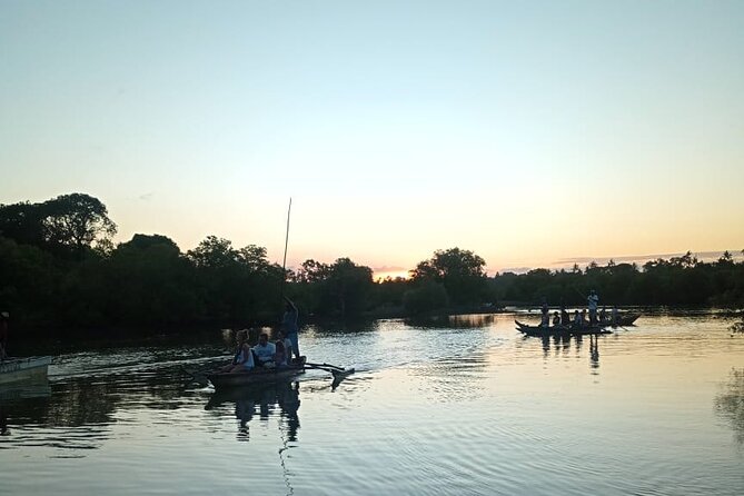 Kongo River Sunset Experience in Canoe - Birdwatching among the mangroves