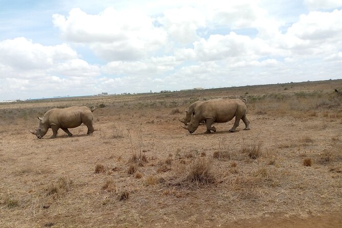 Lake Naivasha And Lake Nakuru Overnight Tour - Lake Naivasha by boat, with hippos and birds