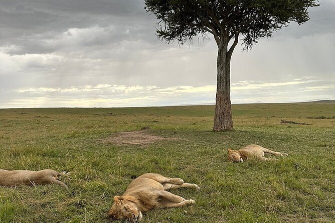 Lake Naivasha And Lake Nakuru Overnight Tour - Overnight arrangements and the move to Lake Nakuru