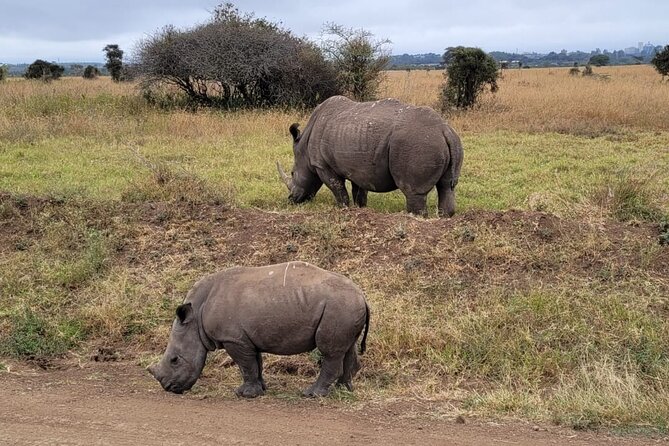 Lake Naivasha And Lake Nakuru Overnight Tour - Six hours inside Lake Nakuru National Park