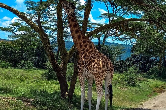 Lake Naivasha And Lake Nakuru Overnight Tour - What the $315 price really covers