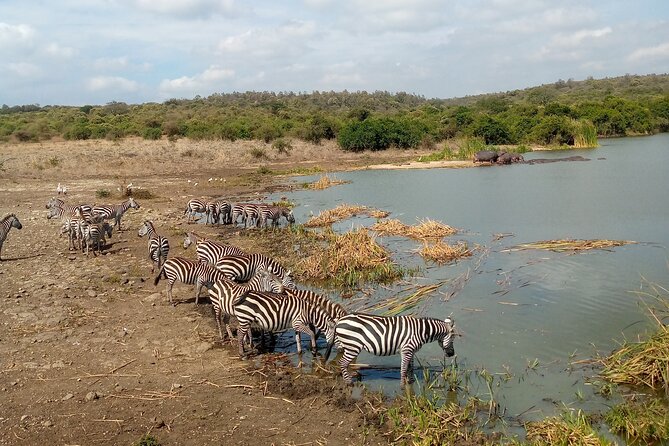Lake Naivasha And Lake Nakuru Overnight Tour - Who will enjoy this safari most