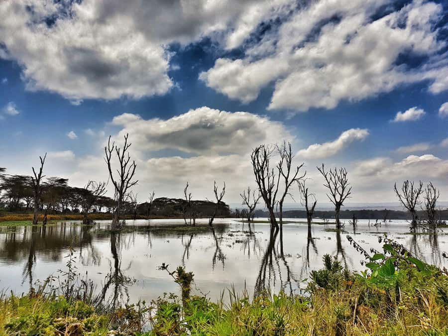 Lake Naivasha: Crescent Island Game Sanctuary - Transport is the weak link