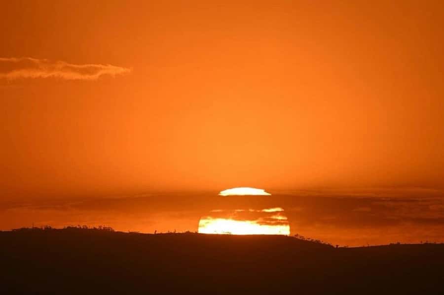 Lake Naivasha: Crescent Island Game Sanctuary - Who will enjoy this day trip most