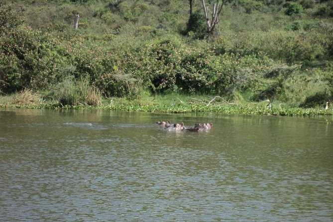 Lake Naivasha day tour including the crescent island - Crescent Island on foot, not behind a vehicle window