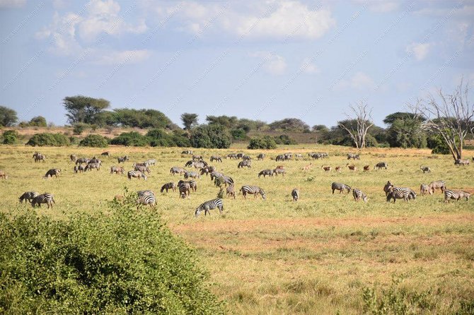 Lake Naivasha day tour including the crescent island - Guides can shape the whole day